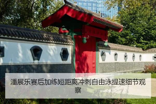 潘展乐赛后加练短距离冲刺自由泳提速细节观察