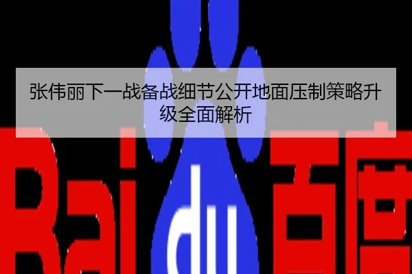张伟丽下一战备战细节公开地面压制策略升级全面解析